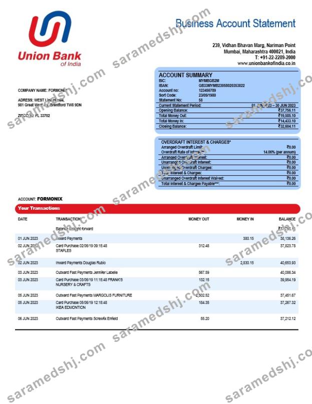 Union Bank of India business statement Word and PDF template